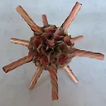 Origami Apartament